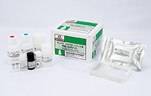 ชุดทดสอบเคซีน ELISA KitⅡ